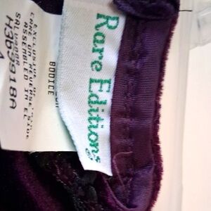 Rare Editions Purple little girl dress